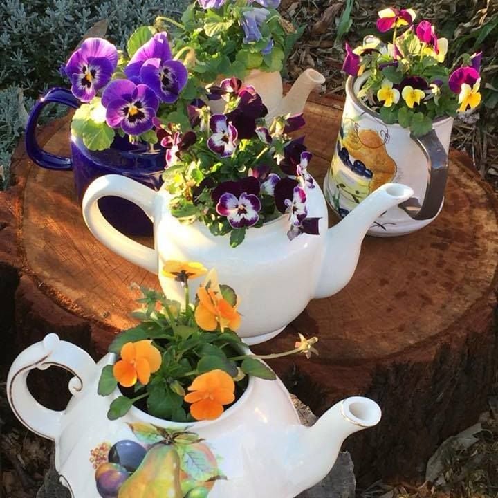 Connect Coaches Garden Tours Image -62b992ae4732a